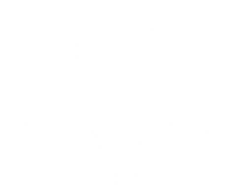 Pure Layer 3D